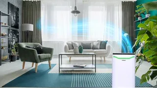 7w1, 8w1 MEGBOCSÁTÁS